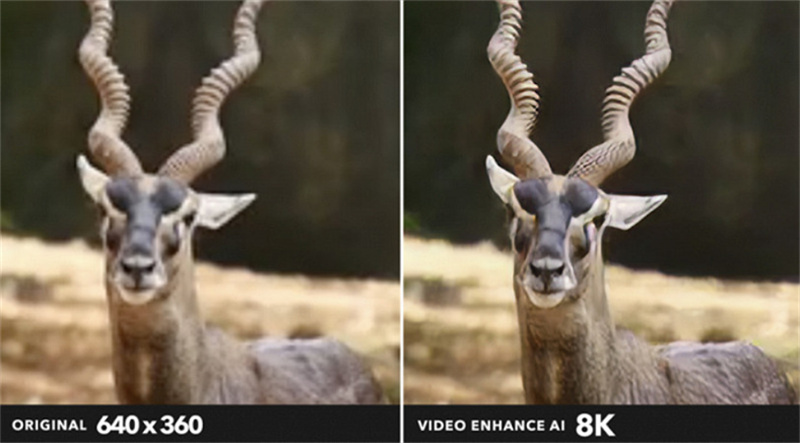 topaz video interpolation enhancement comparison chart