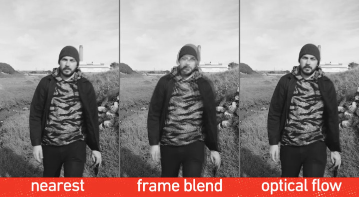 frame interpolation type