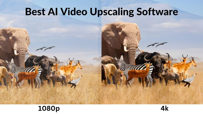 ai video upscaling free mac