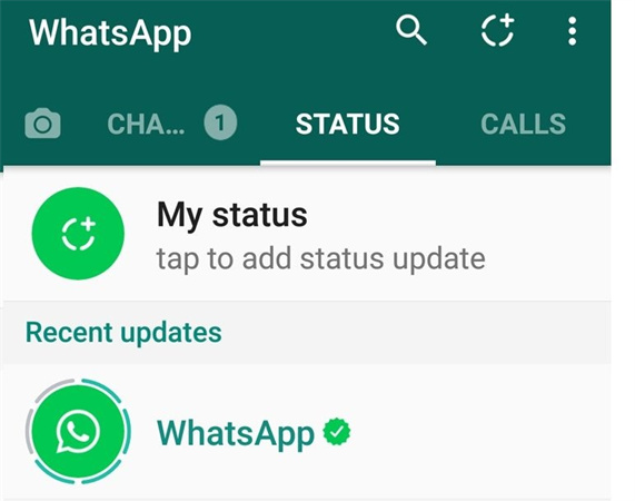 A Pro Guide of WhatsApp Status Video Resolution Size