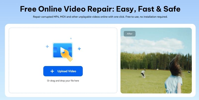 4ddig online video repair