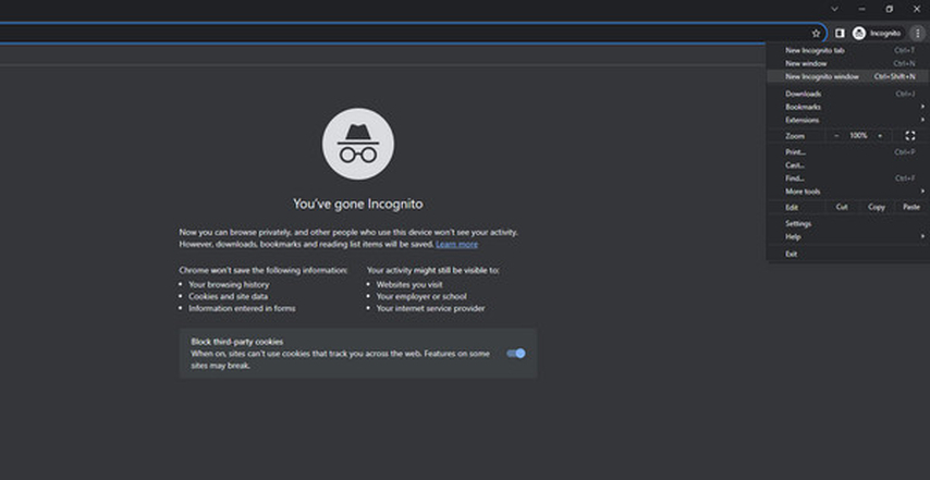 resolve error code 101102 using incognito mode