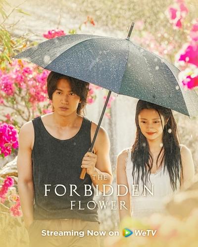 Dónde ver el Drama Chino The Forbidden Flower con Subtítulos