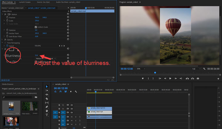 Adjust the blurness in premiere