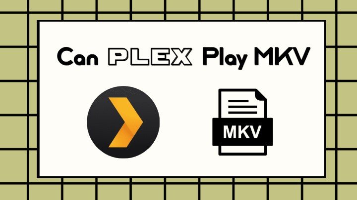 Does Plex Support MKV? How to Play MKV on Plex?