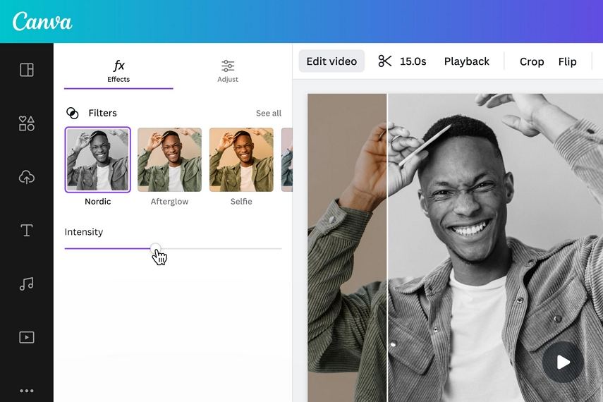 canva face filters