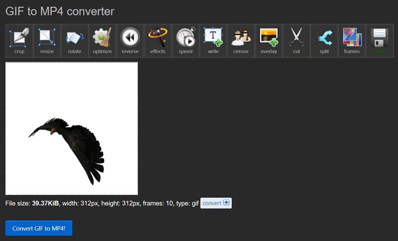 Free GIF to MP4 Converter: Convert GIF to video online