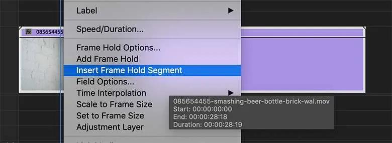 How To Add Freeze Frame In Premiere Pro 5つの実証済み方法|Premiere Proでフリーズフレームにする方法