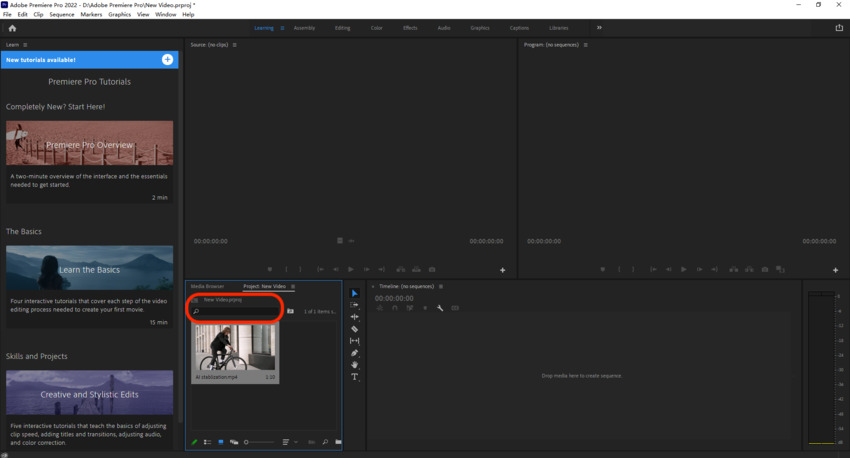 How to Rotate Videos in Premiere Pro (Full Steps)