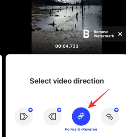 How to Loop  Video on iPhone and Android
