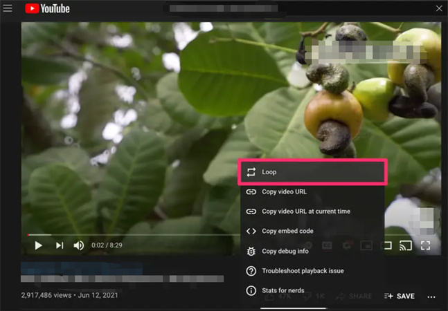 how to loop a youtube video on desktop