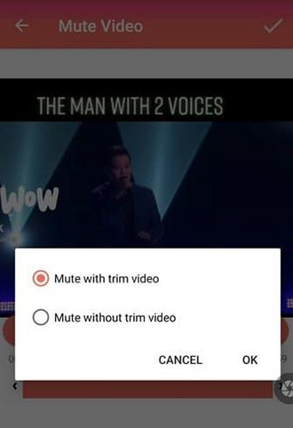 remove sound from video android