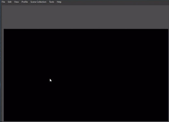 obs netflix black screen