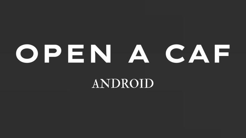 [Ausführlich] Wie öffnet man eine CAF datei auf Android?