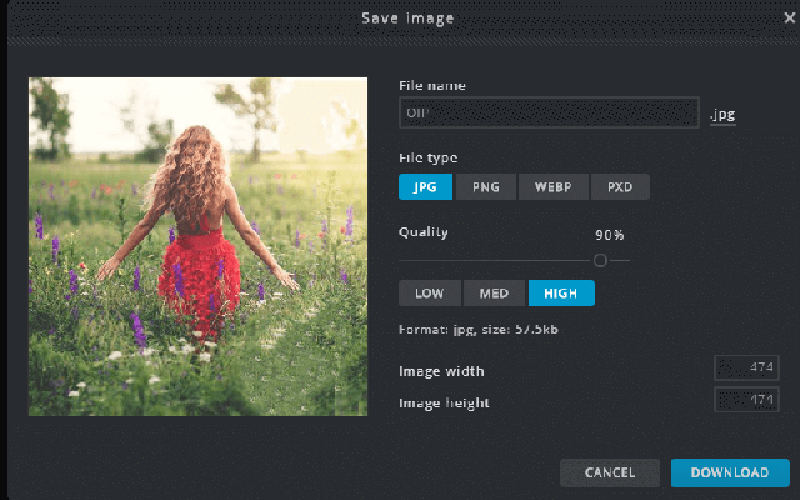 Top 6 watermark remover online free for video photo 2021 