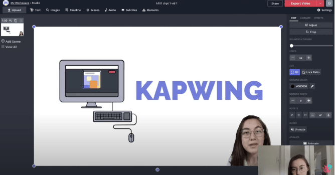 eliminar fondo de video en kapwing