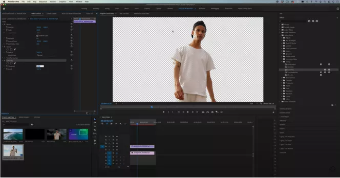  Adobe Premiere Pro video background remover