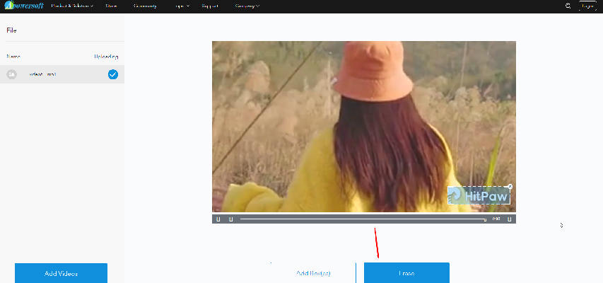   remove logo from video
