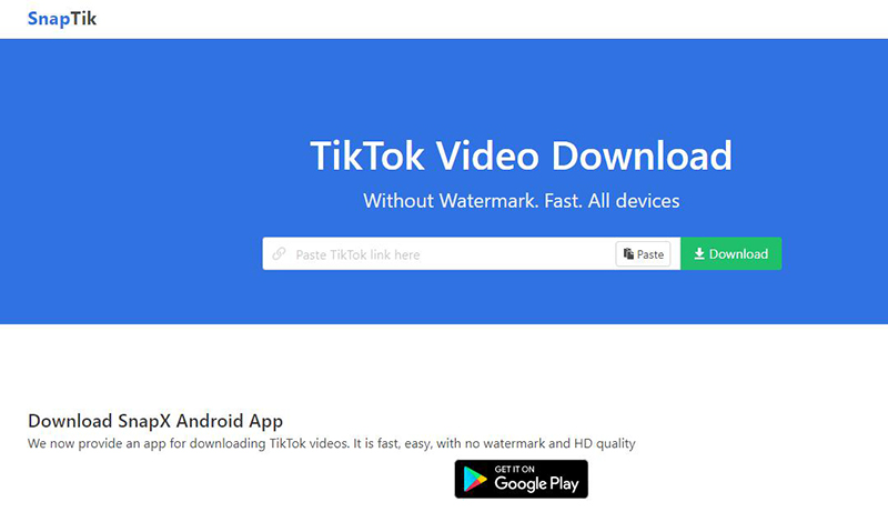 TikTok Video Downloader Online