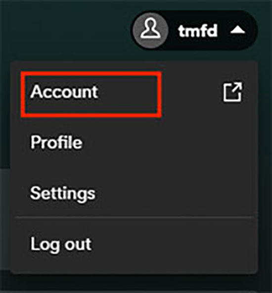 spotify account
