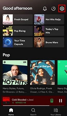 click on spotify settings icon on mobile device