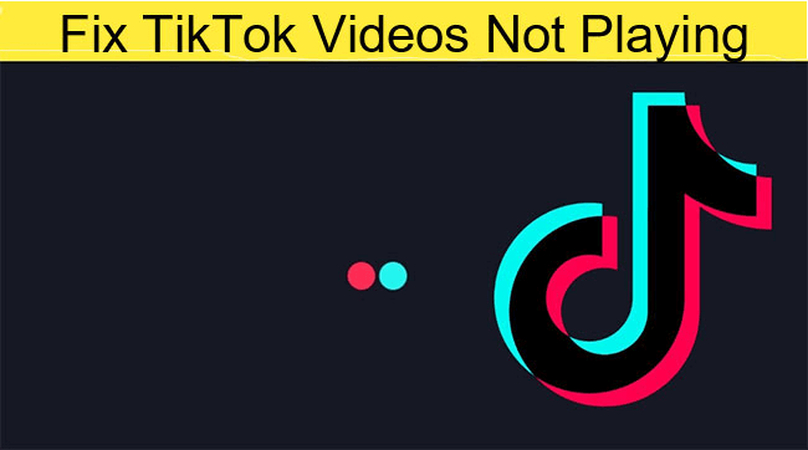 6 Methods to Fix TikTok Videos Not Playing on Phone/Browser