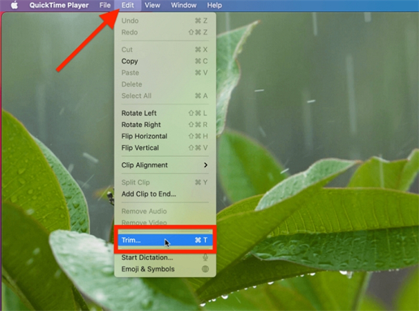 유튜브 동영상 트림 또는 다운로드