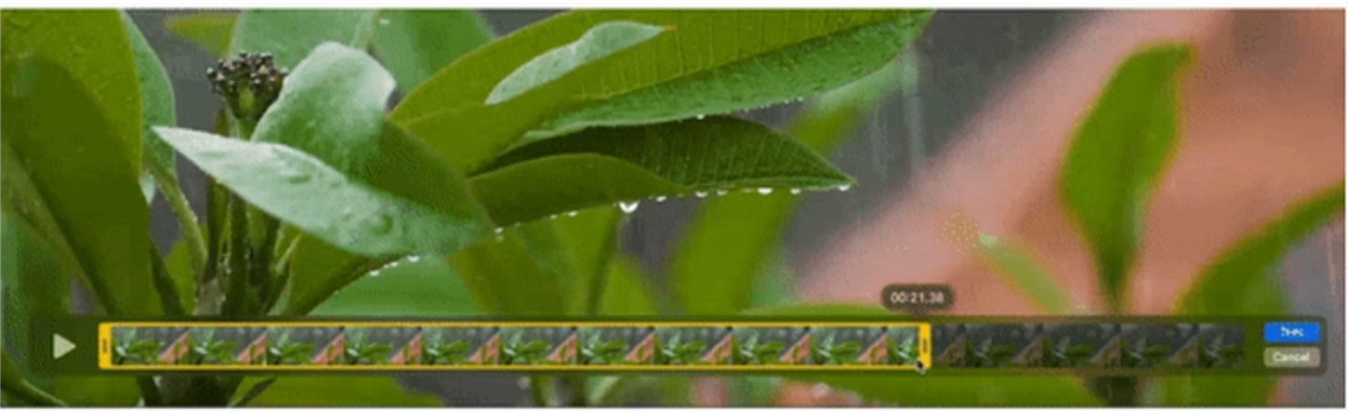 온라인에서 유튜브 동영상 트림