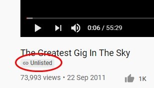 Private VS Unlisted What Does Unlisted Mean on YouTube