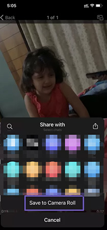 how to download video from telegram on ios devices