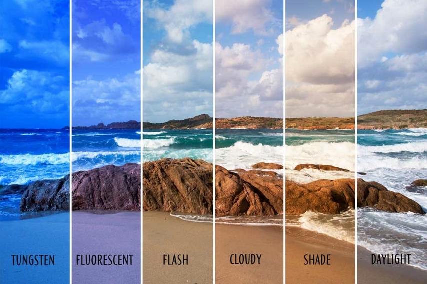 white balance settings in videography
