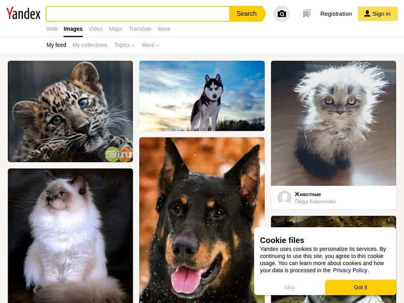 yandex search reverse image search