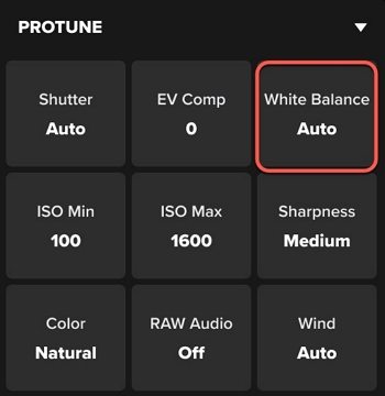 gopro white balance settings