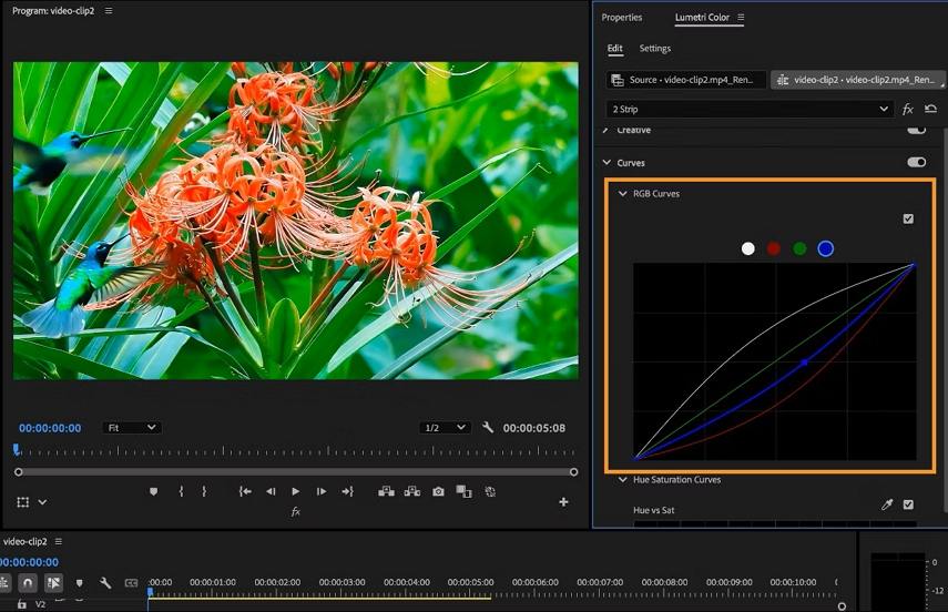 RGB curves in Adobe Premiere