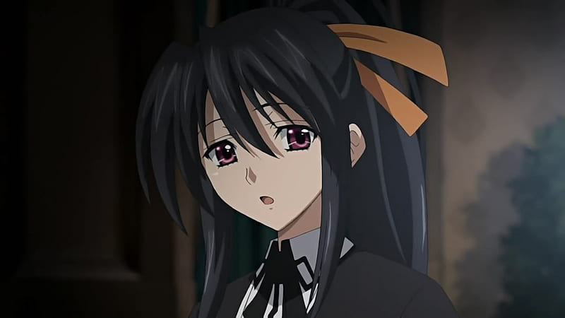anime hot women akeno himejima
