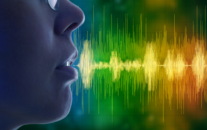 cases on voice imitation