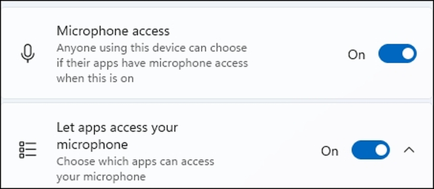 enable microphone option