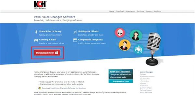 13일의 금요일 인물 보이스