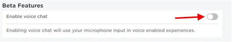 로블록스 음성 채팅하기