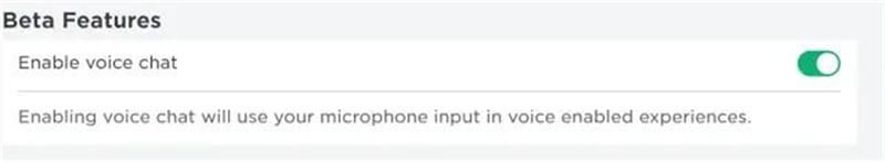 로블록스 게임 음성 채팅