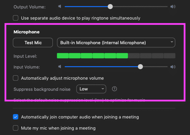 check and adjust voice changer in zoom