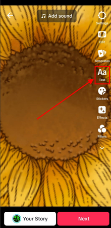 틱톡에 캡션 추가