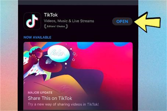 tiktok voice changer