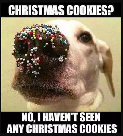 ميمز عيد الميلاد 1