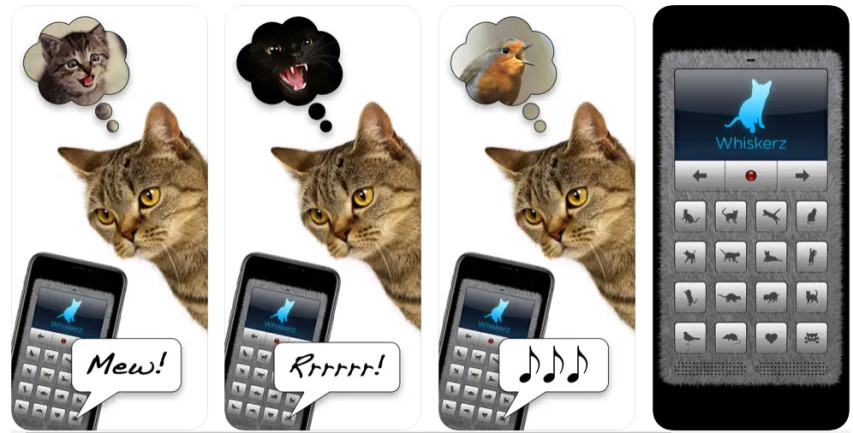 cat translator
