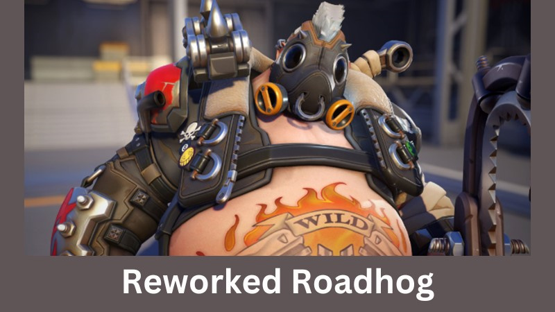 reworked roadhog