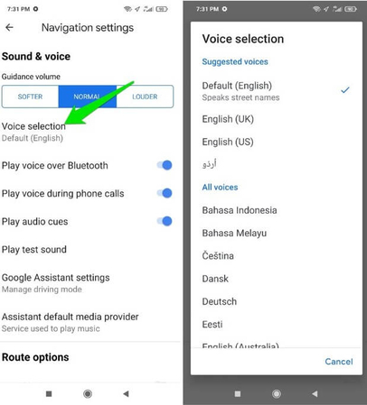google maps settings