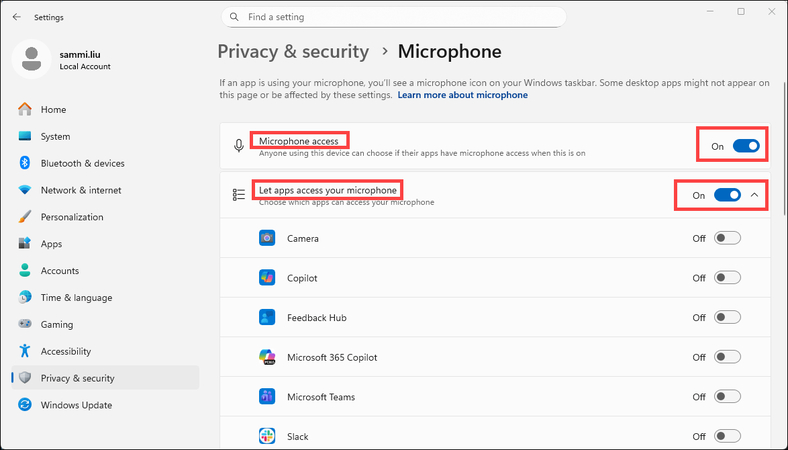 enable the microphone access option