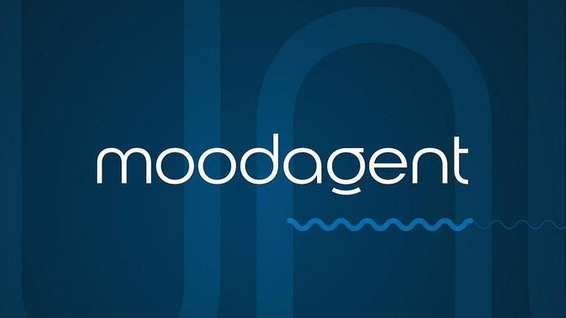 분위기 기반 음악 발견