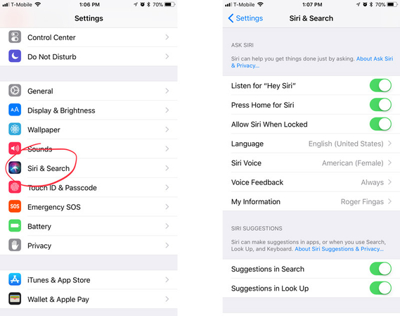 siri voice options